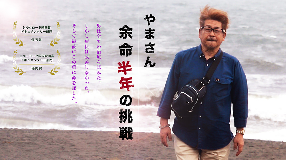 麻てらす番外編やまさん余命半年の挑戦